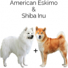 https://www.americanbreeder.com/images/com_adsmanager/categories/4356cat_t.jpg