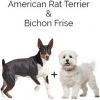 https://www.americanbreeder.com/images/com_adsmanager/categories/4366cat_t.jpg