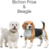 https://www.americanbreeder.com/images/com_adsmanager/categories/4393cat_t.jpg