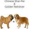https://www.americanbreeder.com/images/com_adsmanager/categories/4438cat_t.jpg