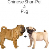 https://www.americanbreeder.com/images/com_adsmanager/categories/4439cat_t.jpg
