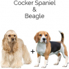 https://www.americanbreeder.com/images/com_adsmanager/categories/4444cat_t.jpg