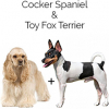 https://www.americanbreeder.com/images/com_adsmanager/categories/4453cat_t.jpg