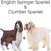 https://www.americanbreeder.com/images/com_adsmanager/categories/4499cat_t.jpg