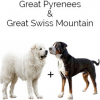 https://www.americanbreeder.com/images/com_adsmanager/categories/4543cat_t.jpg