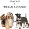 https://www.americanbreeder.com/images/com_adsmanager/categories/4556cat_t.jpg