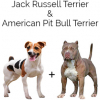 https://www.americanbreeder.com/images/com_adsmanager/categories/4557cat_t.jpg