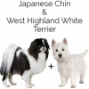 https://www.americanbreeder.com/images/com_adsmanager/categories/4571cat_t.jpg