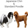 https://www.americanbreeder.com/images/com_adsmanager/categories/4578cat_t.jpg
