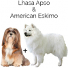 https://www.americanbreeder.com/images/com_adsmanager/categories/4592cat_t.jpg