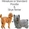 https://www.americanbreeder.com/images/com_adsmanager/categories/4706cat_t.jpg