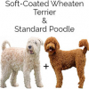 https://www.americanbreeder.com/images/com_adsmanager/categories/4794cat_t.jpg