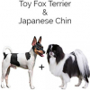https://www.americanbreeder.com/images/com_adsmanager/categories/4799cat_t.jpg