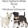 https://www.americanbreeder.com/images/com_adsmanager/categories/4807cat_t.jpg