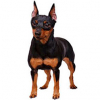 https://www.americanbreeder.com/images/com_adsmanager/categories/4898cat_t.jpg