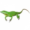 https://www.americanbreeder.com/images/com_adsmanager/categories/4918cat_t.jpg