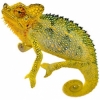 https://www.americanbreeder.com/images/com_adsmanager/categories/4931cat_t.jpg