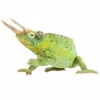 https://www.americanbreeder.com/images/com_adsmanager/categories/4932cat_t.jpg