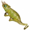 https://www.americanbreeder.com/images/com_adsmanager/categories/4934cat_t.jpg