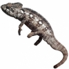 https://www.americanbreeder.com/images/com_adsmanager/categories/4935cat_t.jpg