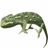 https://www.americanbreeder.com/images/com_adsmanager/categories/4942cat_t.jpg