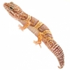 https://www.americanbreeder.com/images/com_adsmanager/categories/4958cat_t.jpg