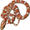https://www.americanbreeder.com/images/com_adsmanager/categories/5003cat_t.jpg