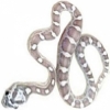 https://www.americanbreeder.com/images/com_adsmanager/categories/5005cat_t.jpg