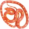 https://www.americanbreeder.com/images/com_adsmanager/categories/5011cat_t.jpg