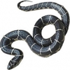 https://www.americanbreeder.com/images/com_adsmanager/categories/5024cat_t.jpg