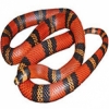 https://www.americanbreeder.com/images/com_adsmanager/categories/5034cat_t.jpg