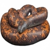 https://www.americanbreeder.com/images/com_adsmanager/categories/5046cat_t.jpg