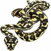 https://www.americanbreeder.com/images/com_adsmanager/categories/5047cat_t.jpg