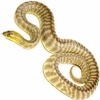 https://www.americanbreeder.com/images/com_adsmanager/categories/5060cat_t.jpg