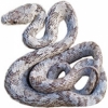 https://www.americanbreeder.com/images/com_adsmanager/categories/5065cat_t.jpg