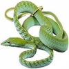 https://www.americanbreeder.com/images/com_adsmanager/categories/5075cat_t.jpg