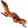 https://www.americanbreeder.com/images/com_adsmanager/categories/507cat_t.jpg