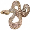 https://www.americanbreeder.com/images/com_adsmanager/categories/5083cat_t.jpg