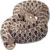 https://www.americanbreeder.com/images/com_adsmanager/categories/5089cat_t.jpg