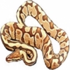 https://www.americanbreeder.com/images/com_adsmanager/categories/5097cat_t.jpg