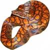 https://www.americanbreeder.com/images/com_adsmanager/categories/5111cat_t.jpg