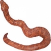 https://www.americanbreeder.com/images/com_adsmanager/categories/5127cat_t.jpg