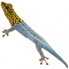 https://www.americanbreeder.com/images/com_adsmanager/categories/512cat_t.jpg