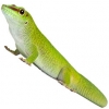 https://www.americanbreeder.com/images/com_adsmanager/categories/516cat_t.jpg