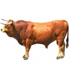 https://www.americanbreeder.com/images/com_adsmanager/categories/5175cat_t.jpg