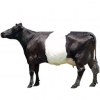 https://www.americanbreeder.com/images/com_adsmanager/categories/5186cat_t.jpg