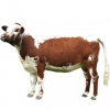 https://www.americanbreeder.com/images/com_adsmanager/categories/5196cat_t.jpg
