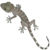 https://www.americanbreeder.com/images/com_adsmanager/categories/519cat_t.jpg