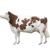 https://www.americanbreeder.com/images/com_adsmanager/categories/5204cat_t.jpg