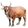 https://www.americanbreeder.com/images/com_adsmanager/categories/5209cat_t.jpg
